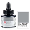 Talens Pantone marker tinta, 30 ml - cool gray 6