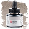 Talens Pantone marker tinta, 30 ml - warm gray 2