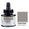 Talens Pantone marker tinta, 30 ml - warm gray 6