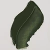 Talens Van Gogh olajfesték, 20 ml - 629, green earth
