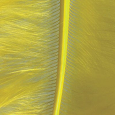 Marabutoll - citromsárga, 8-10 cm, 22 db/csomag