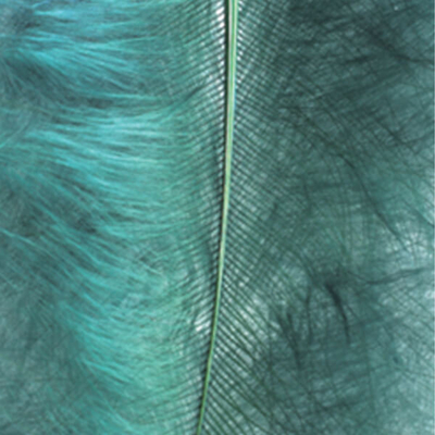 Marabutoll - sötétzöld, 8-10 cm, 22 db/csomag