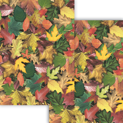 Fotókarton, 49,5x68 cm - őszi levelek