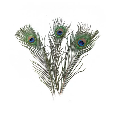 Pávatoll, 25-30 cm