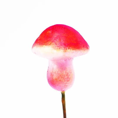 Betűzhető gomba - piros, 2,5 cm