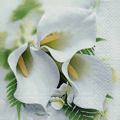 Szalvéta - Fehér kála