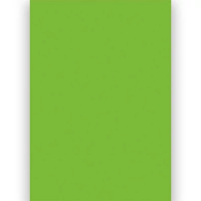 Transzparens pauszpapír, A4 - 53, világoszöld