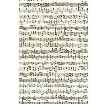 Tassotti decoupage papír - kotta