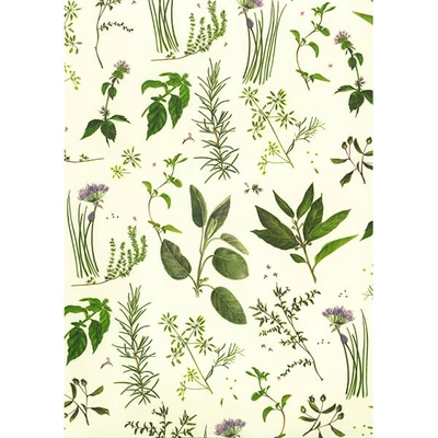 Tassotti decoupage papír - aromás fűszernövények