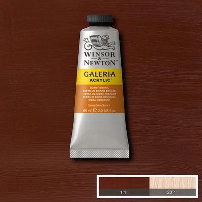 Winsor&amp;amp;Newton Galeria akrilfesték, 60 ml - 074, burnt sienna