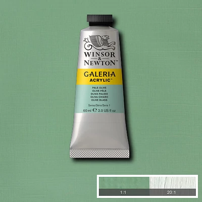 Winsor&Newton Galeria akrilfesték, 60 ml - 435, pale olive