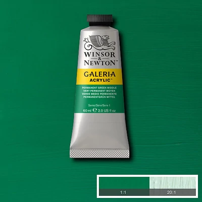 Winsor&amp;Newton Galeria akrilfesték, 60 ml - 484, permanent green middle