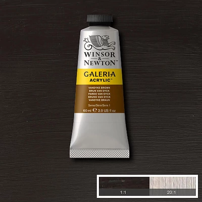 Winsor&amp;Newton Galeria akrilfesték, 60 ml - 676, Van Dyck brown