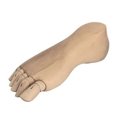 Modellbábu, lábfej - 24 cm, jobb