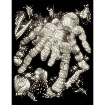 Karckép gravírozó készlet karctűvel, 20x25 cm - Tarantula, sötétben világító