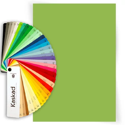 Kaskad színes fénymásolópapír, A/4, 80 g, 10 db - 66, limezöld, Parakeet green