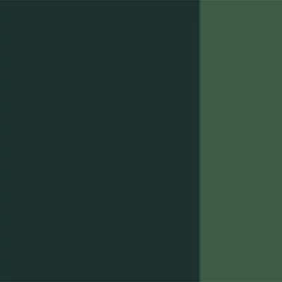 L&amp;amp;B Linel extra fine gouache festék, 14 ml - 552, sap green