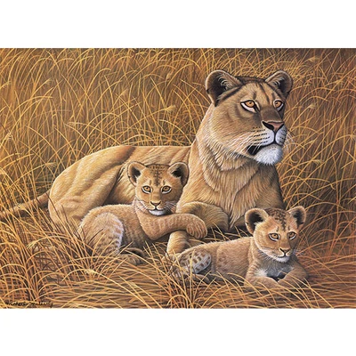 Számozott kifestő készlet, akrilfesték+ecset, 29x39 cm - Afrikai oroszlán