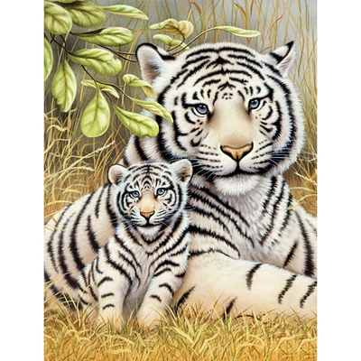 Számozott kifestő készlet, akrilfesték+ecset, 22x30 cm - Tigris