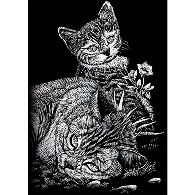 Karckép gravírozó készlet karctűvel, 12x18 cm - Cicák, ezüst