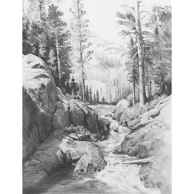 Skiccrajz grafikai rajzkészlet eszközökkel, 22x30 cm - Erdő