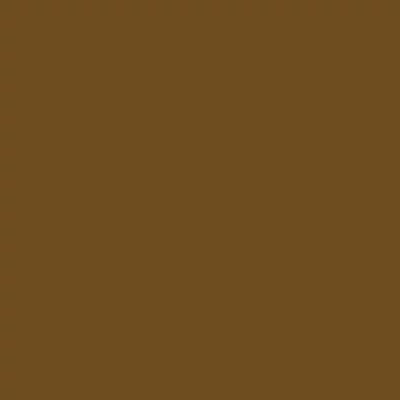 Talens Rembrandt olajfesték, 40 ml - 409, burnt umber