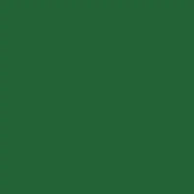 Talens Rembrandt olajfesték, 40 ml - 668, chromium oxide green