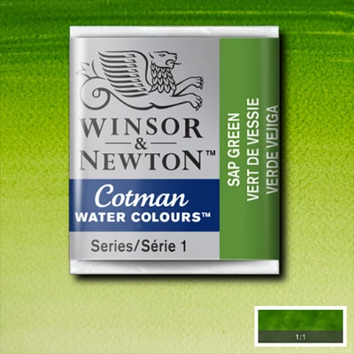 Winsor&amp;Newton Cotman 1/2 szilkés akvarellfesték - 599, sap green