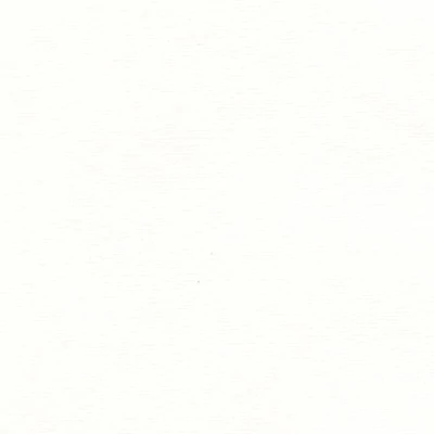 Hahnemühle Ingres papír, 100 g, 48x62,5 cm - 250 bright white