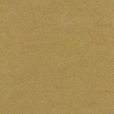 Hahnemühle Ingres papír, 100 g, 48x62,5 cm - 256 brown