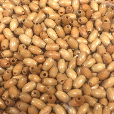 Fagyöngy, zabszem, 5-8 mm, 500 g - barna