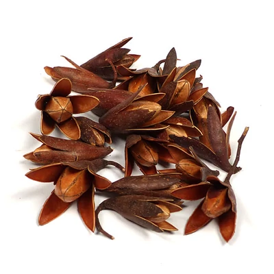 Száraztermés - Csillag lili, natúr-barna, 10 g