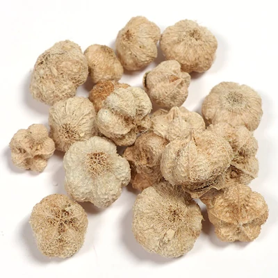 Száraztermés - Fokhagyma termés, fehérített, 35 g