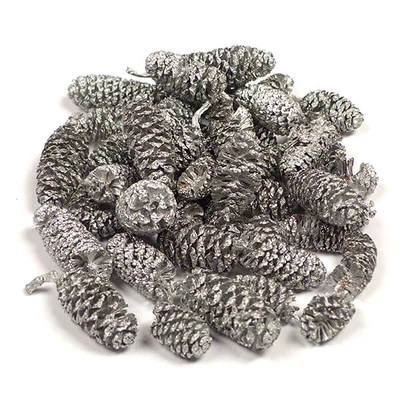 Száraztermés - Éger, ezüst, 30 g