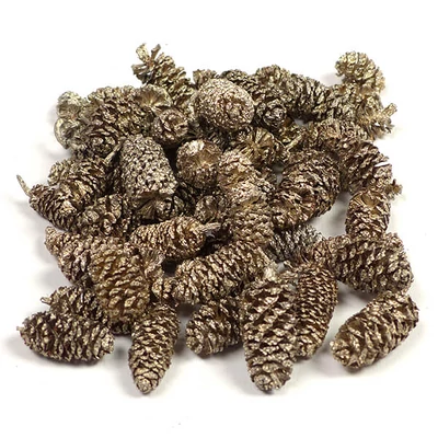 Száraztermés - Éger, pezsgő, 30 g