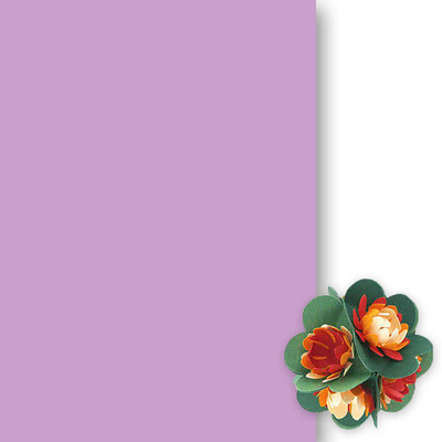Tónuspapír, 50x70 cm - 60, viola