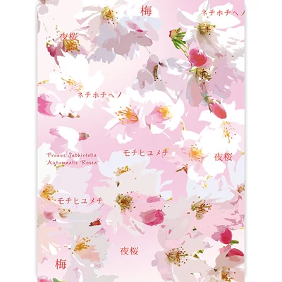 Transzparens papír, A4 - Hanami