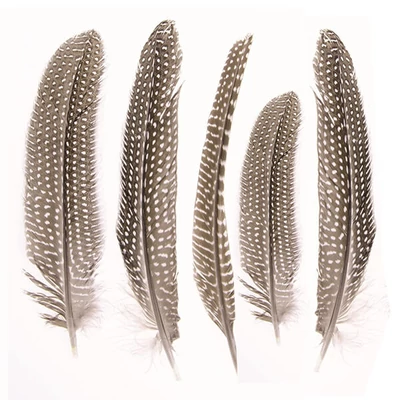 Gyöngytyúk toll, 16-19 cm, 5 db - natúr