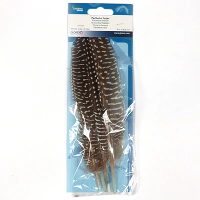 Gyöngytyúk toll, 16-19 cm, 5 db - natúr