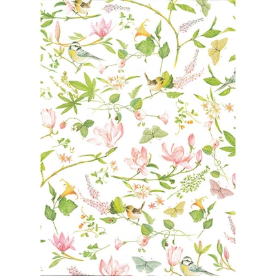 Tassotti decoupage papír - magnólia