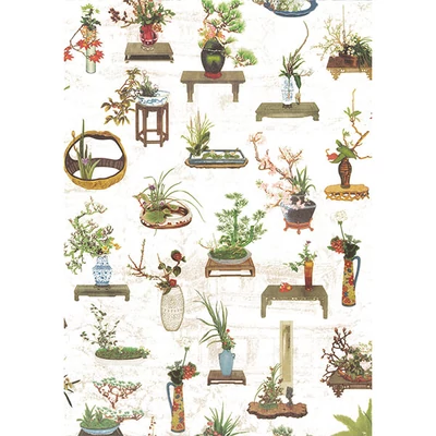 Tassotti decoupage papír - ikebana