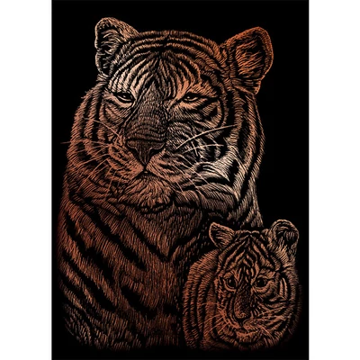 Karckép gravírozó készlet karctűvel, 12x18 cm - Tigrisek, réz