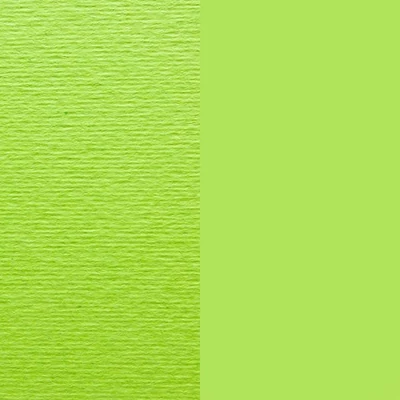 Fabriano Elle Erre színes művészkarton, 70x100 cm - 10, verde pisello