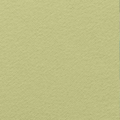 Fabriano Tiziano színes rajzpapír, 50x65 cm - 11, verduzzo