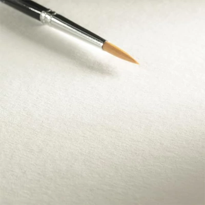 Hahnemühle Bamboo Mixed Media univerzális bambusz festő- és rajzpapír, 265 g, 50x65 cm