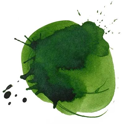 Liquitex akriltinta, 30 ml - 224, Hooker's green hue permanent
