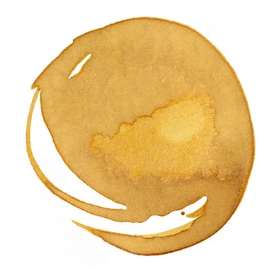 Liquitex akriltinta, 30 ml - 332, transparent raw sienna