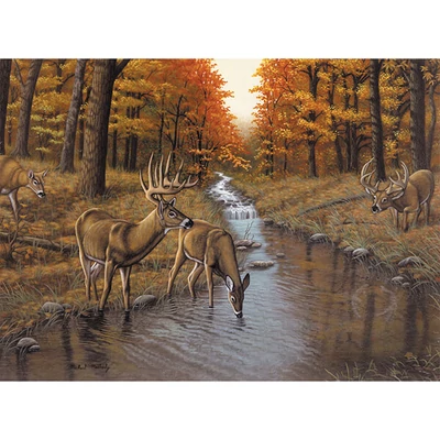 Számozott kifestő készlet, akrilfesték+ecset, 29x39 cm - Symond's patak