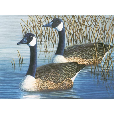 Számozott kifestő készlet, akrilfesték+ecset, 29x39 cm - Libák