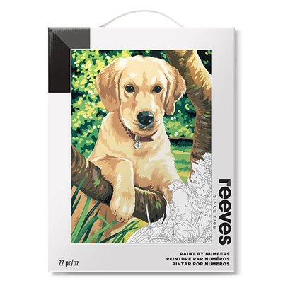Reeves festőkészlet számok alapján, 30x40 cm - Labrador